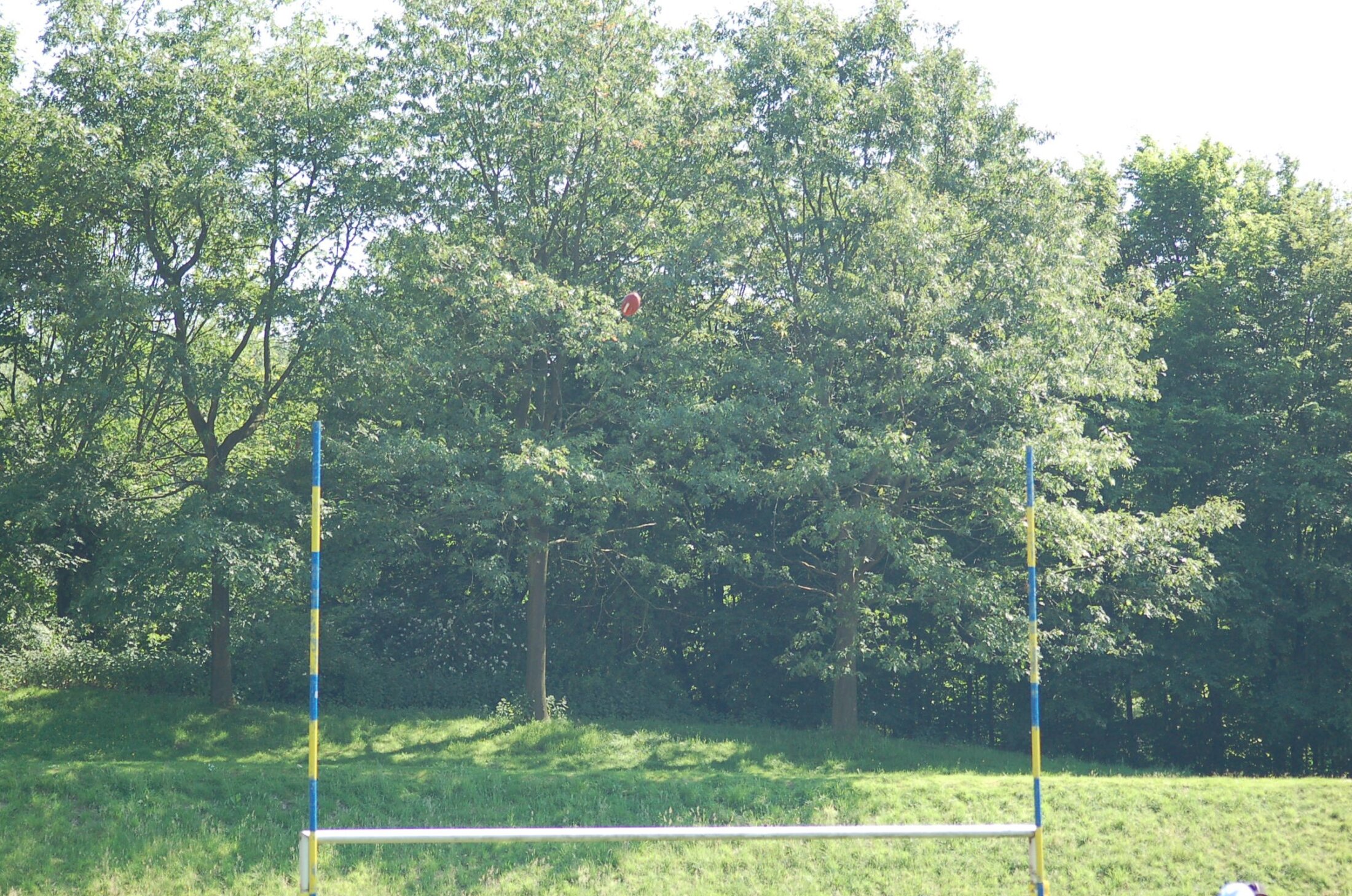 20060617 DSC 0115