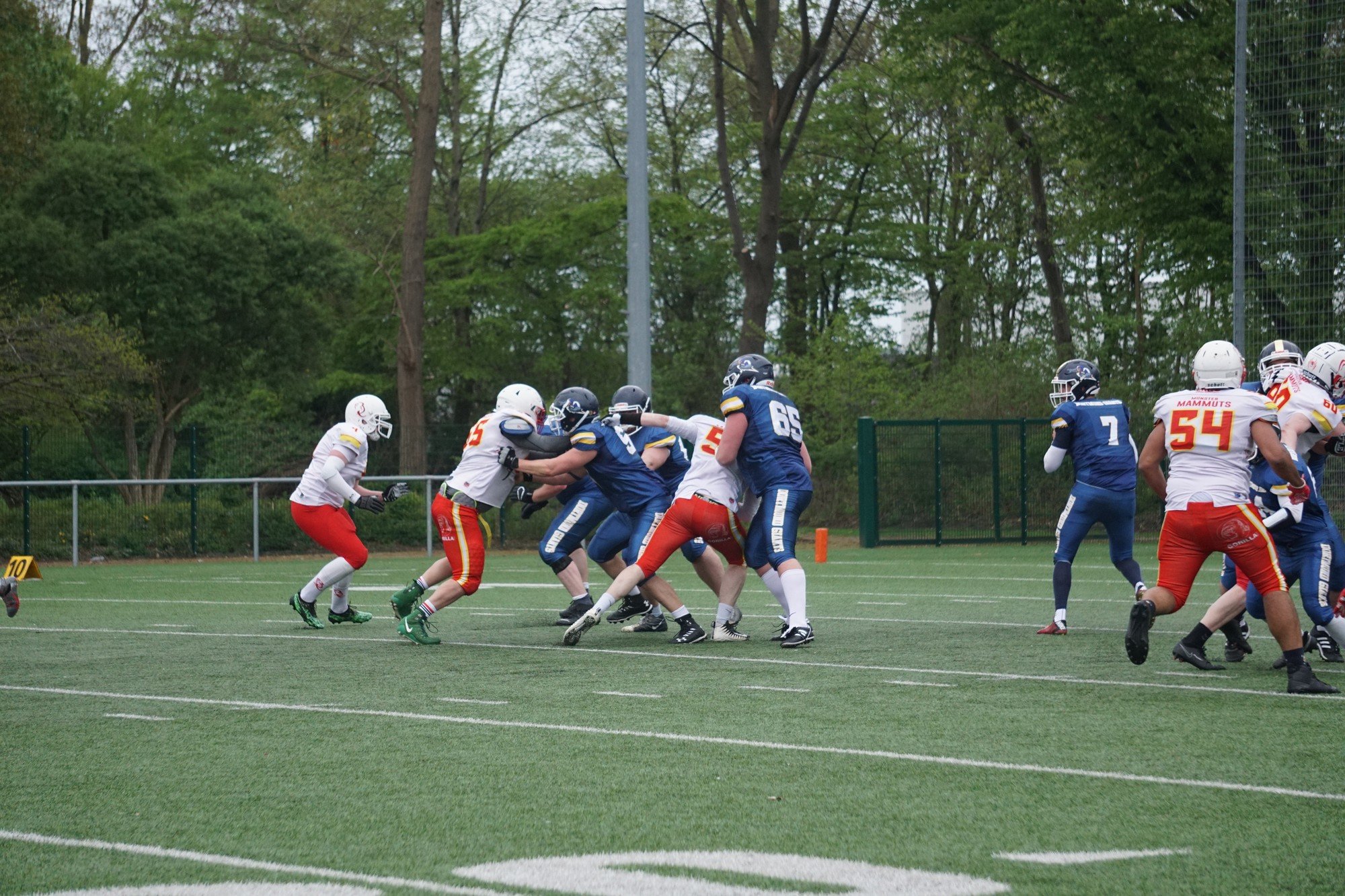 20230429 DSC05290