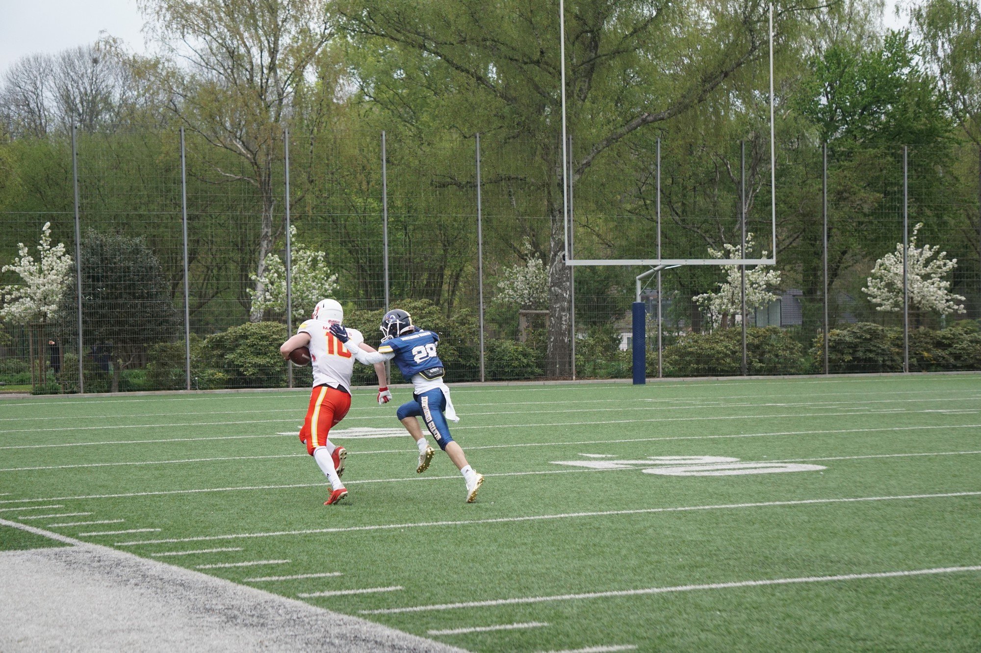 20230429 DSC05427