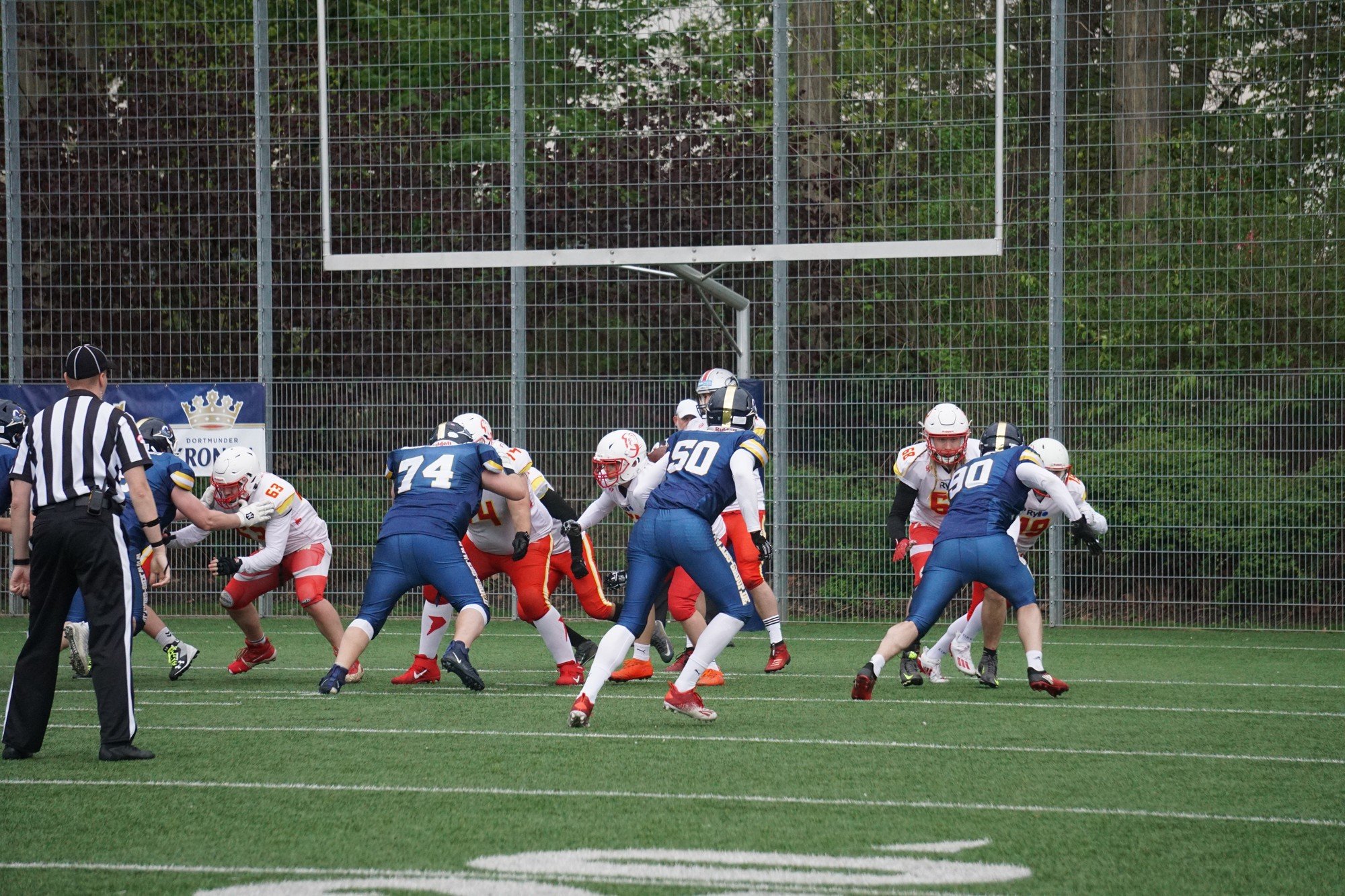 20230429 DSC05572