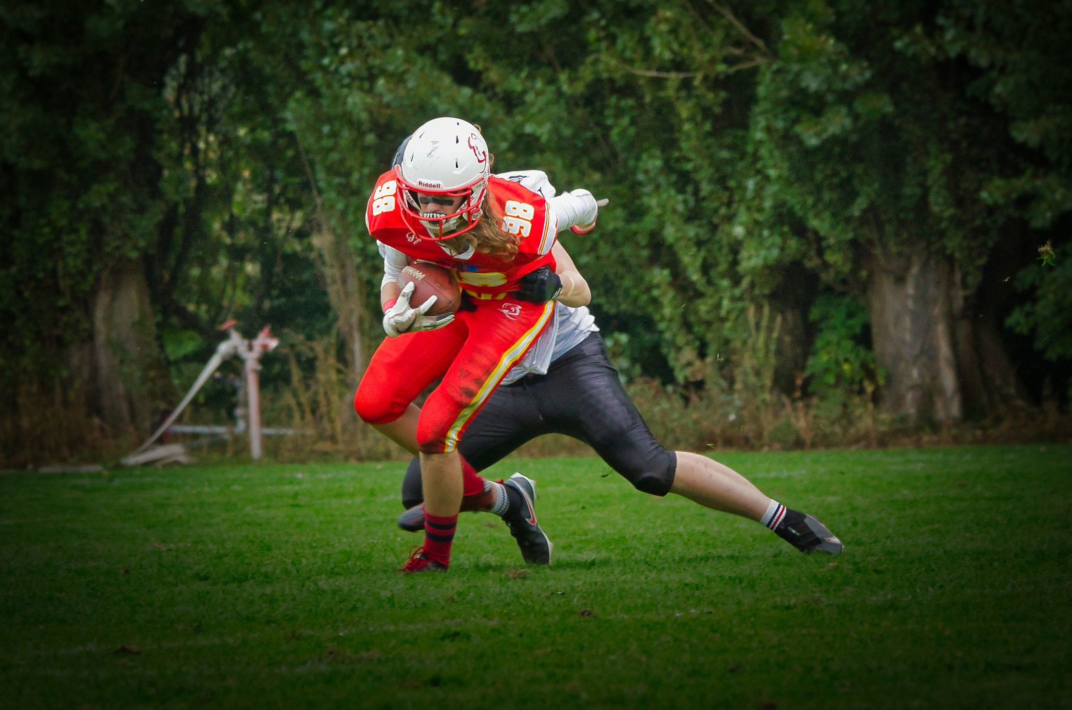 _DSC5396.DT