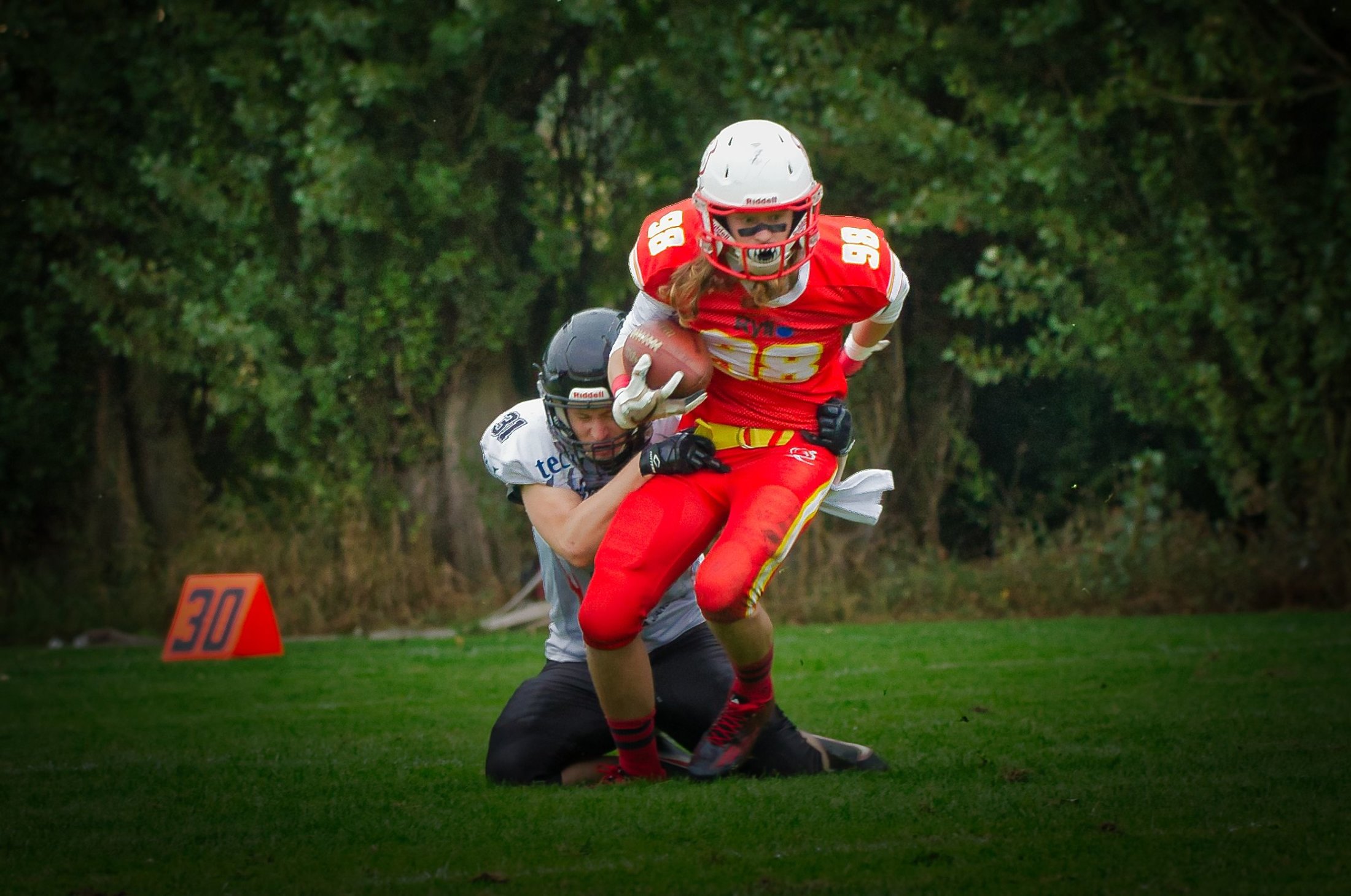 _DSC5397.DT