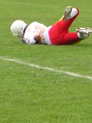 20040606 DSCN0741